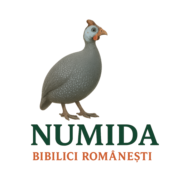 Numida – carne de bibilică românească, fermă românească de bibilici din Șercaia, Brașov