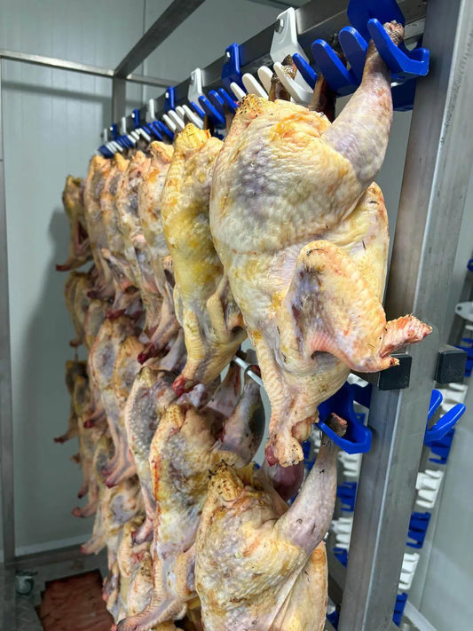 Carcasă de bibilică refrigerată